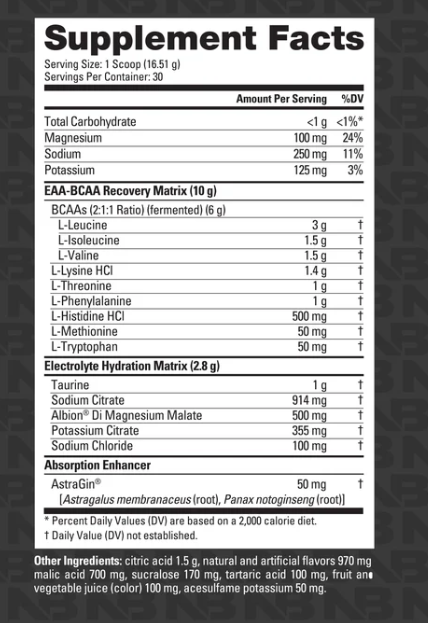 NutraBio Base Aminos